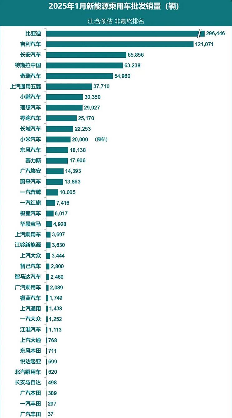 1月新能源车厂商销量榜单揭晓 新势力格局生变 第二名表现亮眼